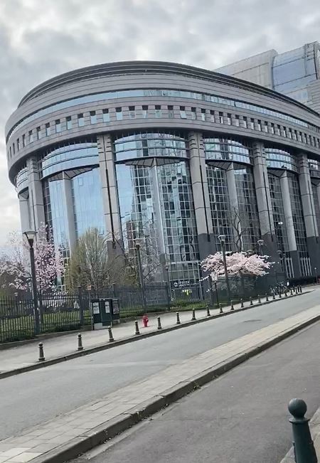 В квартале Европарламента